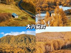 -呼伦贝尔大草原