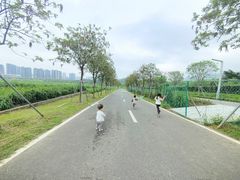 -光明小镇欢乐田园