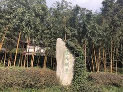 -十八棵（老龙井）御茶园(老龙井店)