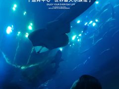 -迪拜水族馆及水下动物园