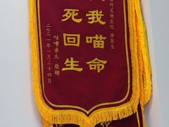 -嘉馨宠物医院·CT影像转诊·心脏科·犬猫全科诊疗中心(下沙大学城院区)