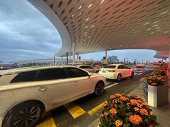 -陈鹏鹏潮汕菜(宝安机场T3航站楼店)