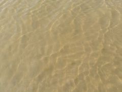 -金梦海湾浴场