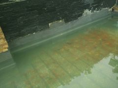 景点-紫荆山公园