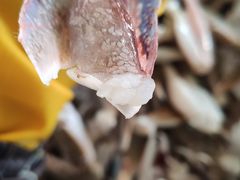 -浦商菜市场·锦德店