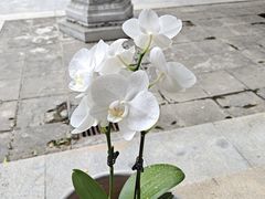 -兴教寺