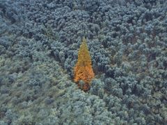 -芬芳四季养生会所(西溪店)