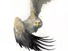 -八哥美术·成人美术画室(总校区)