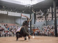 -东芭乐园