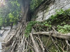 -重庆十八梯传统风貌区