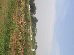 -光明小镇欢乐田园