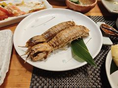 -菊上日式料理(蚌埠银泰店)