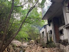 -老张烤羊(王哥庄店)