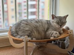 -艾贝尔宠物医院·狂犬免疫点(江山金象城店)
