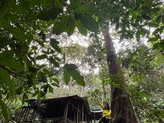 -西双版纳基诺山寨