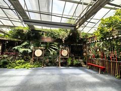 -呀路古热带植物园