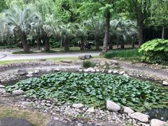 -苏州河梦清园环保主题公园