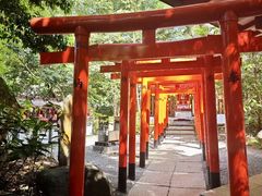 -来宫神社
