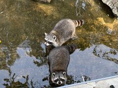 -北京野生动物园