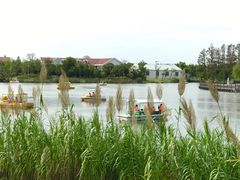 -上海长兴岛郊野公园