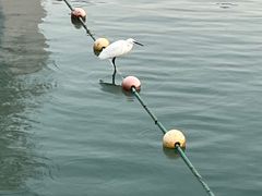 -天鹅湖体育公园