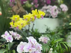 -石家庄市植物园