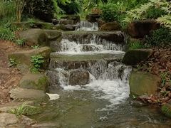 -中国茶叶博物馆(双峰馆区)