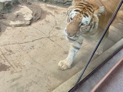 -杭州野生动物世界