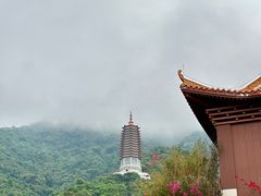 -深圳仙湖植物园