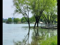 -长广溪湿地公园