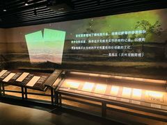 -四川大学博物馆