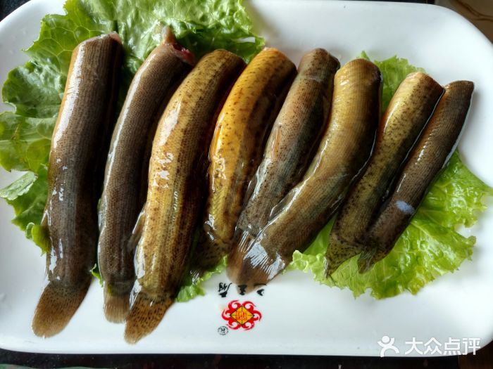 重庆巴王府老火锅(梅川路店)泥鳅图片