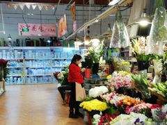-大自然花鸟鱼虫市场