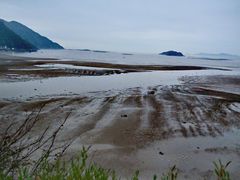 -北岐滩涂