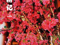 -农耕记·湖南土菜(halo广场店)