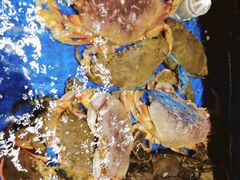 -姜君·千岛湖鱼头馆(浦东大道店)
