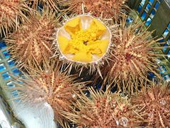 -马栏广场(地铁站)