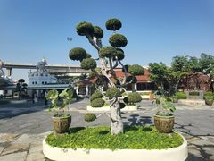 -东芭乐园