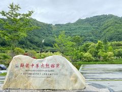 -卧龙中华大熊猫苑神树坪基地