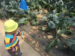 -上海多利农业发展有限公司