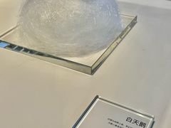 -BLACKSWAN黑天鹅(环球店)