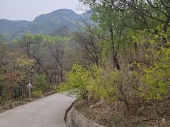 -阳台山自然风景区