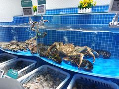 水产区-七鲜超市(通州ONE店)