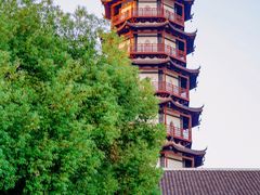 -绳金塔