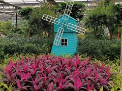 -南宫五洲植物乐园