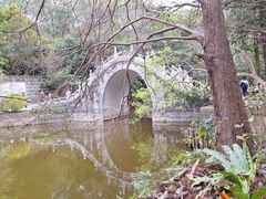 -深圳仙湖植物园