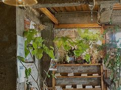 -仙峰天然面包(迎宾路店)