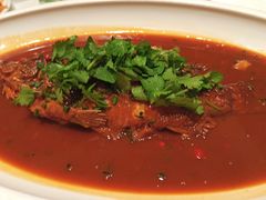 -绿杨春·淮扬宴(庐山路店)