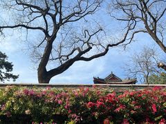-红螺寺