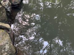 -兰亭风景区